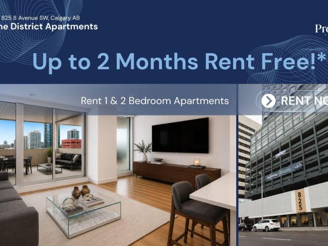 The District Apartments Full Renovation 1 Bed [object Promise] for Rent