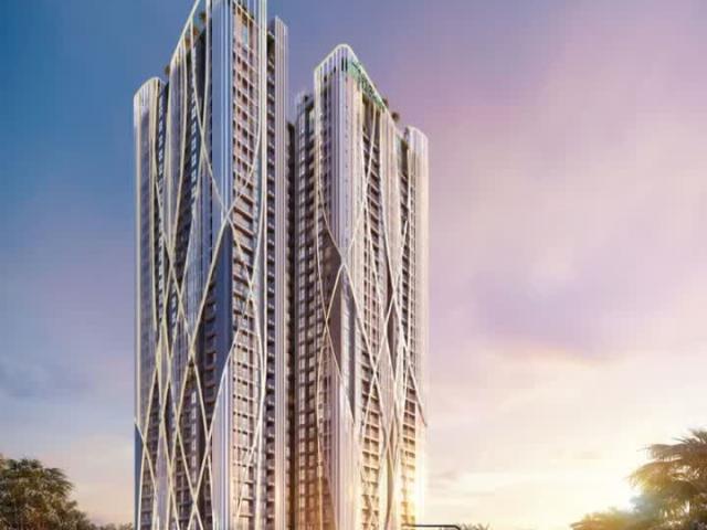 The Fibonan Giá Tốt Nhất Thị Trường