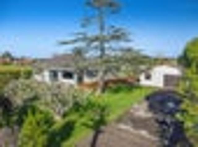 The Kiwi Dream