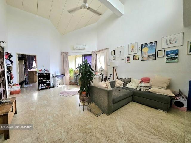 The Hacienda D15, Condominium