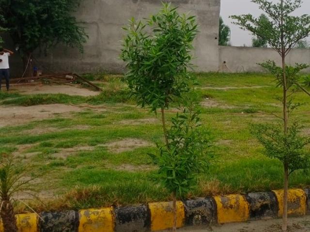 The Harit City 110 Sq. Yd. Plot in Jewar Greater Noida Listing ID: #10182