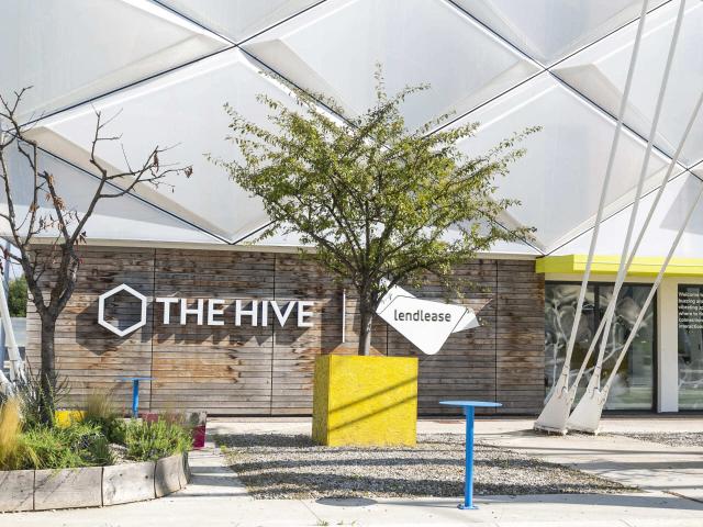The Hive Stella33