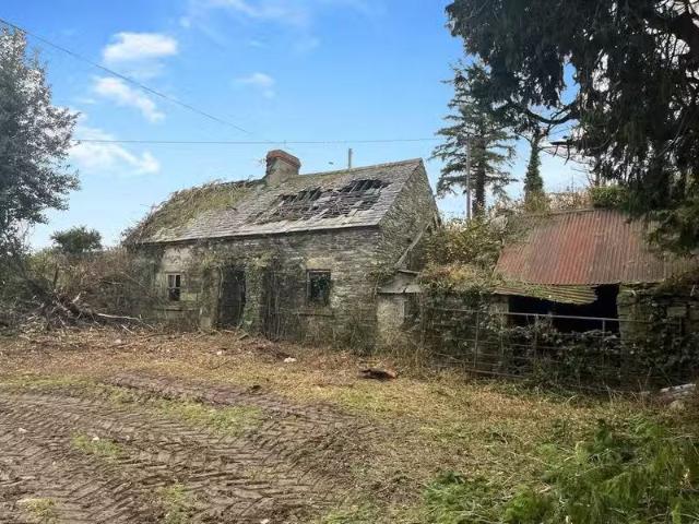 The High House, Ballypreacus, Bunclody, Co. Wexford, Y21TN24 i.