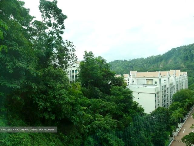 The Hillside D21, Condominium