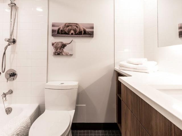 The International 1 Bedroom Apartment for Rent at 220 4 Ave Sw, Calgary, AB T2P 0H5 Downtown Calgary