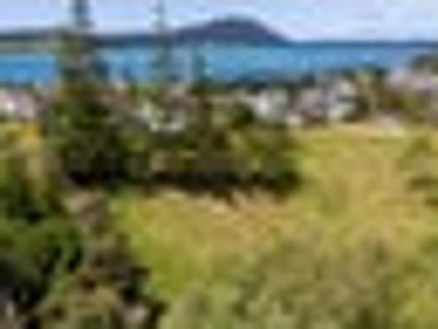 The Jewel in the Pukenui Crown