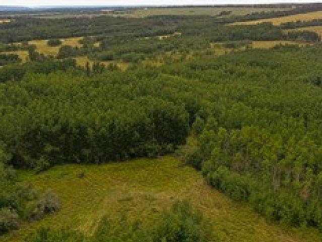 The Old Bison Ranch On Cecil Lake