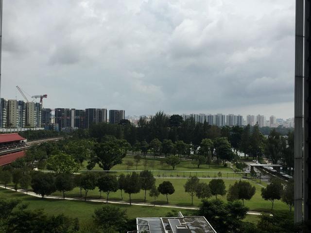 The Lakefront Residences D22, Condominium
