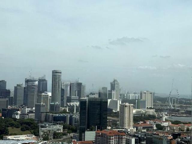The Landmark D3, Condominium