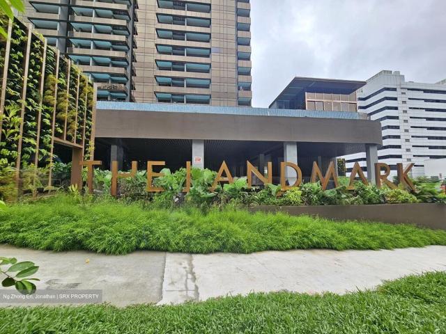 The Landmark D3, Condominium
