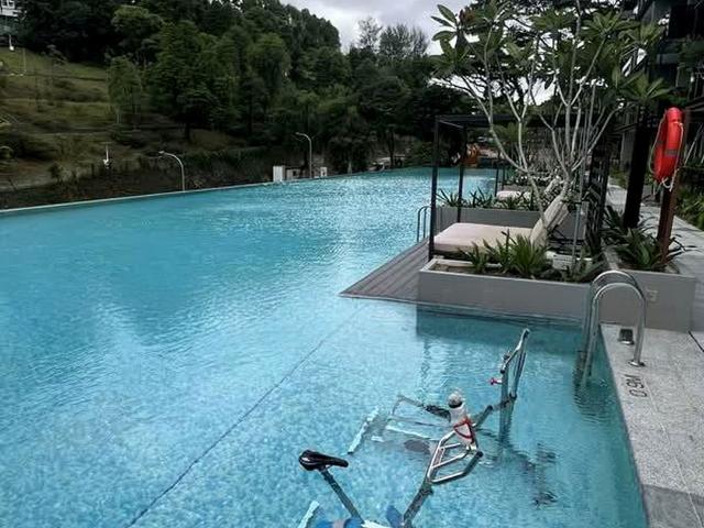 The Landmark D3, Condominium