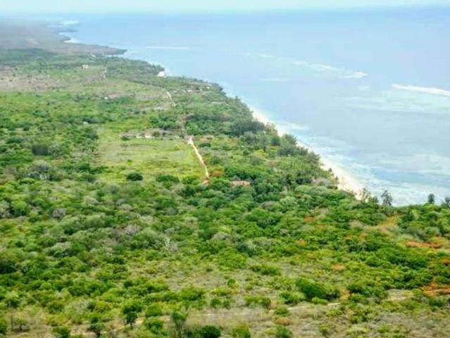 The Last Gem of Kuruwitu: A 76 Acre Seafront Paradise – Your Gateway to Coastal Luxury
