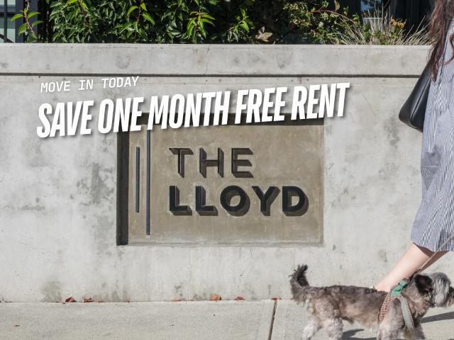 The Lloyd 2 Bedroom + 2 Bath [object Promise] for Rent