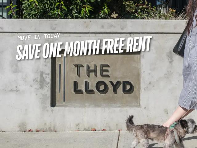 The Lloyd