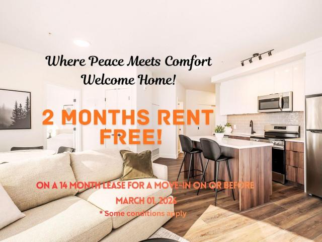 The Monterey Pine 19 [object Promise] for Rent