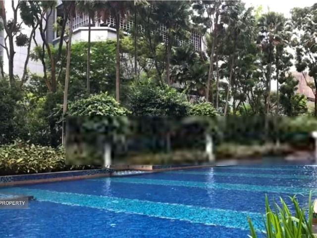 The Metz D9, Condominium