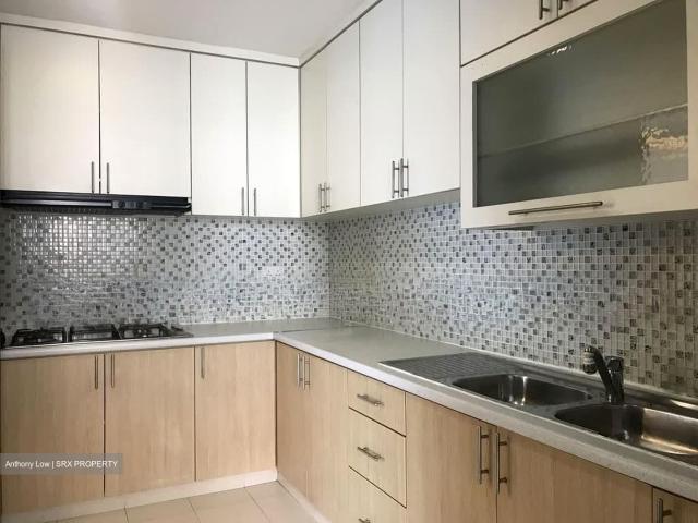 The Merasaga D10, Condominium