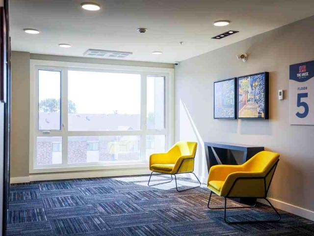 The Muse Off Whyte 1 Bedroom Apartment for Rent at 10119 85 Ave Nw, Edmonton, AB T6E 3T5 Strathcona
