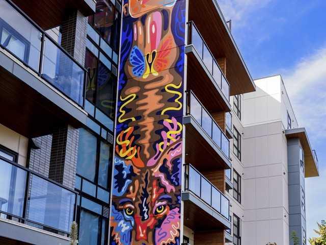 The Muse Off Whyte 1 Bedroom Apartment for Rent at 10119 85 Ave Nw, Edmonton, AB T6E 3T5 Strathcona