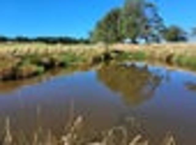 The Sanctuary | 1.77 Hectares