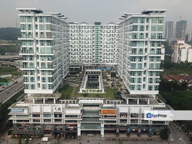 The Scott Garden