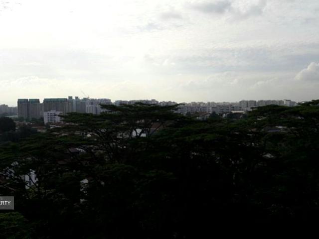 The Skywoods D23, Condominium