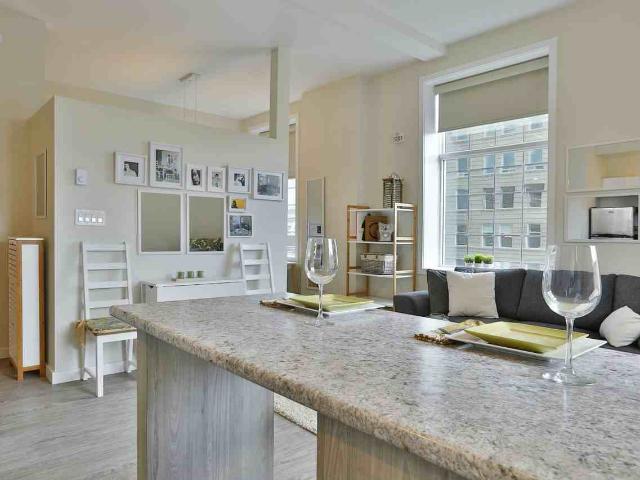 The Sterling Window Lofts 1 Bedroom Apartment for Rent at 283 Portage Ave, Winnipeg, MB R3B 2B5 Downtown Winnipeg