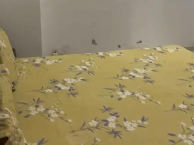 The Suman Marvelous 3 Bedroom 1822 Sq. Ft. Apartment in Ramgarh Bhudda Zirakpur Listing ID: #10350