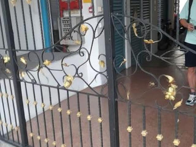 The Sunflower D14, Apartment