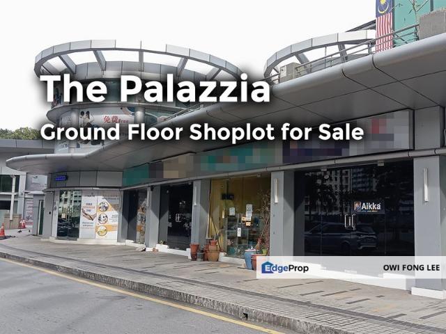 The Palazzia