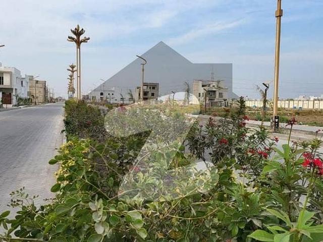 The Palm Village Plot For Sale