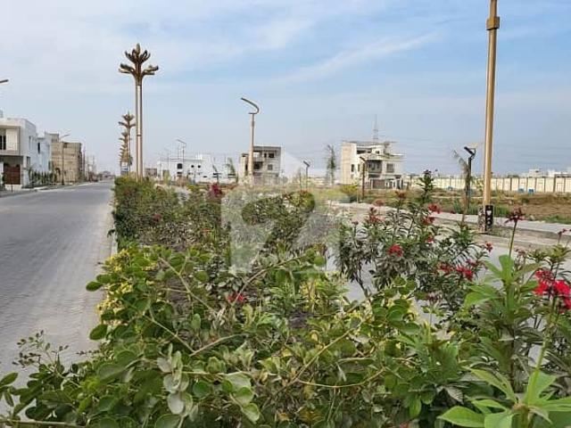 The Palm Village 200 Sq. Yard Plot For Sale
