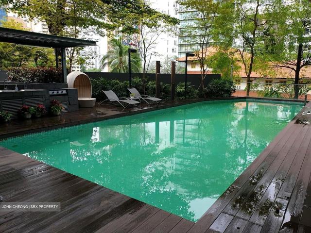 The Peak @ Cairnhill Ii D9, Apartment