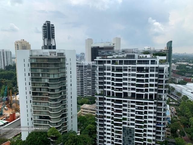 The Peak @ Cairnhill Ii D9, Apartment