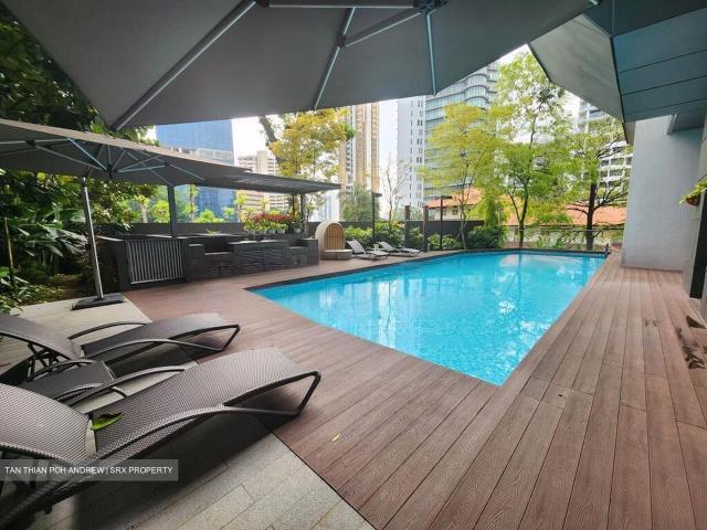 The Peak @ Cairnhill Ii D9, Apartment