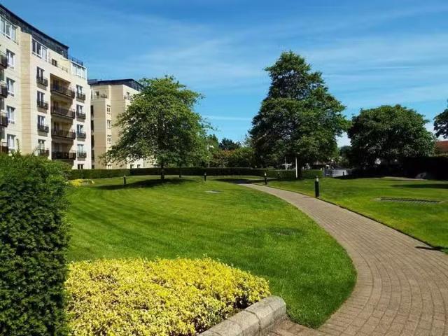 The Pines, Herbert Park Lane, Ballsbridge, Dublin 4 is for rent
