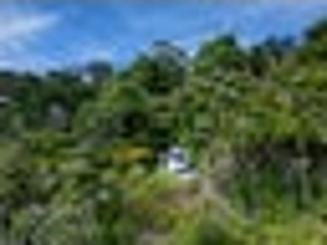 The Price is Off! Prime Section with Harbour Views