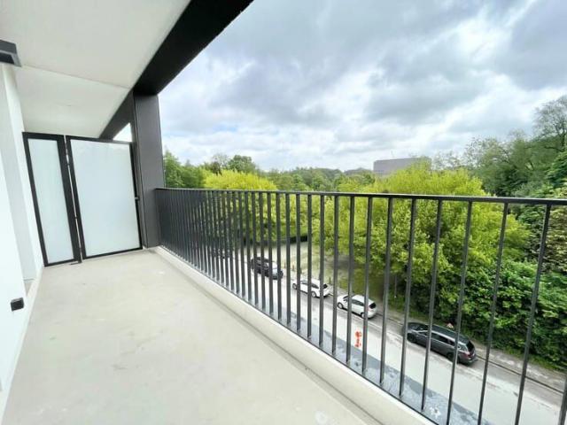 The W: New studio