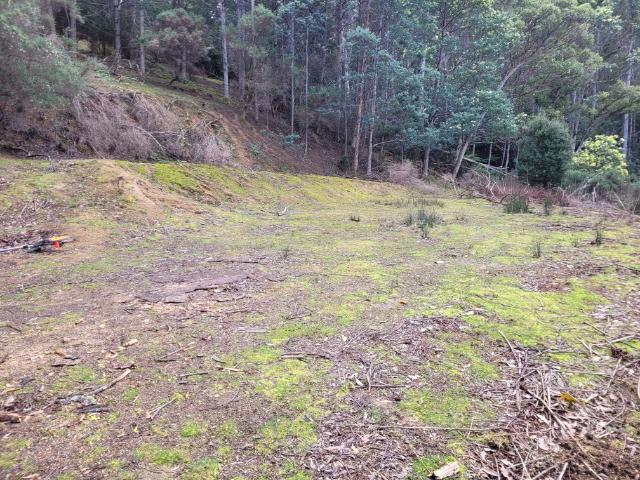 The Weald: Beautiful Mountain Bush Property of 28 Ha, 15 mins from Hobart CBD