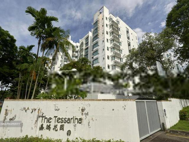 The Tessarina D10, Condominium