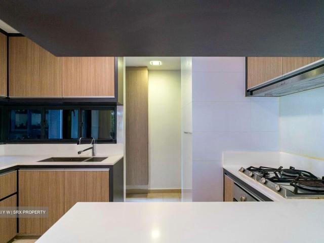 The Trizon D10, Condominium