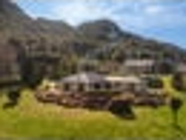 Vendors heading North – must be sold