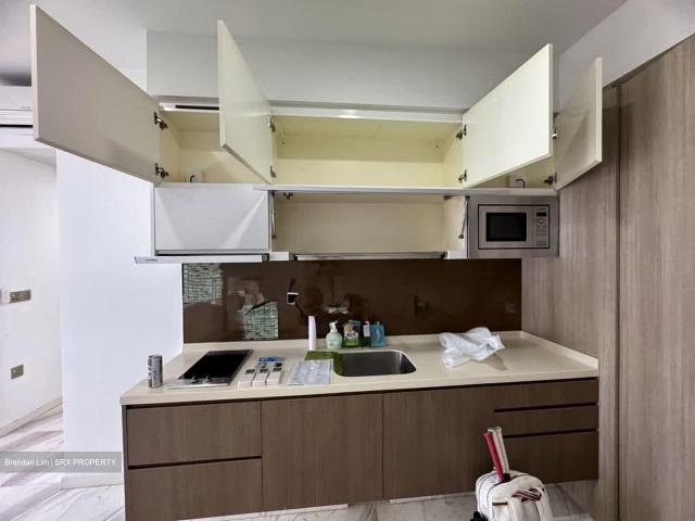 The Viridian D12, Apartment