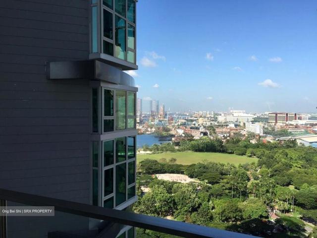 The Vision D5, Condominium