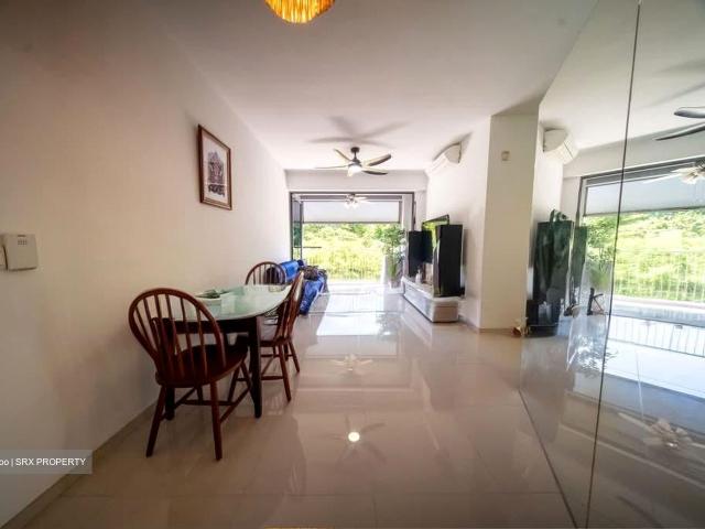 The Visionaire D27, Condominium