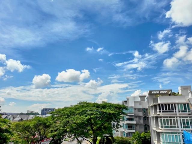 The Vue Condominium For Sale, $728,000, 1 Bed 1 Bath 431 sqft $1,689.00 psf