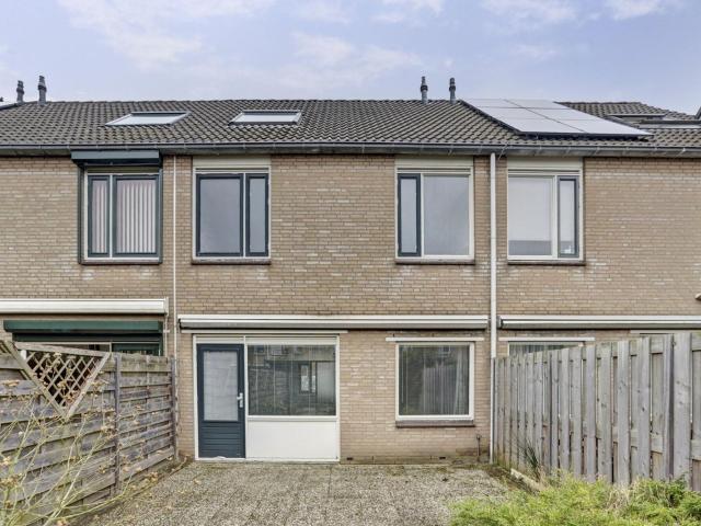 Theeroos, 49, 3068BZ, Rotterdam, Zuid Holland 3068BZ