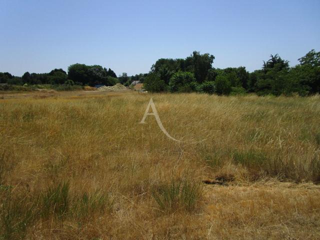 Thésée Vente Terrain 41