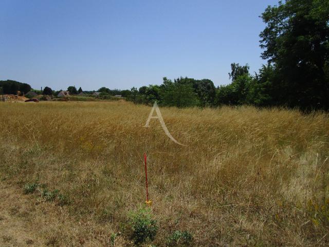 Thésée Vente Terrain 41