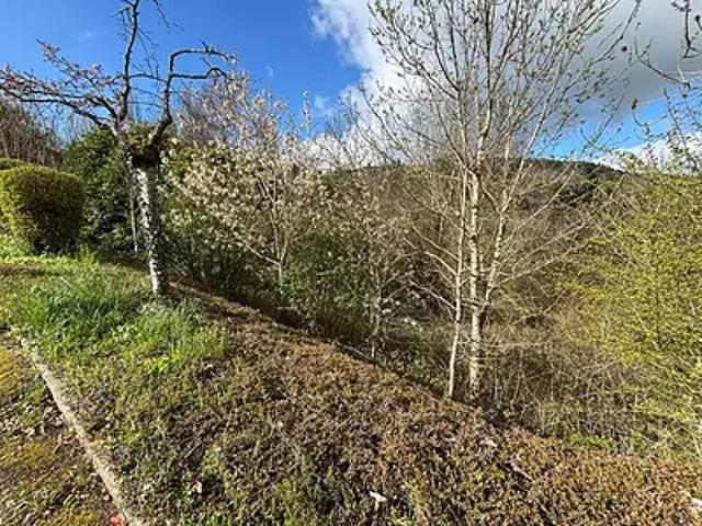 Thizy les Bourgs 69240 Achat / Vente terrain